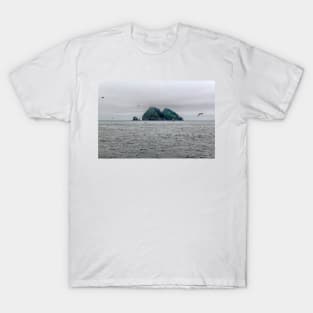 Gulls on Bay T-Shirt